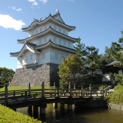 ちょっと隣町までバス旅行:行田花手水ライトアップ!!